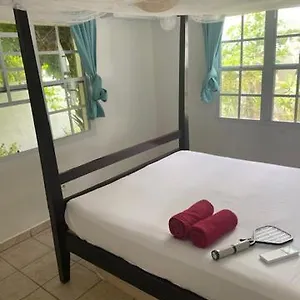 Akunamatata Guest house Grand Case